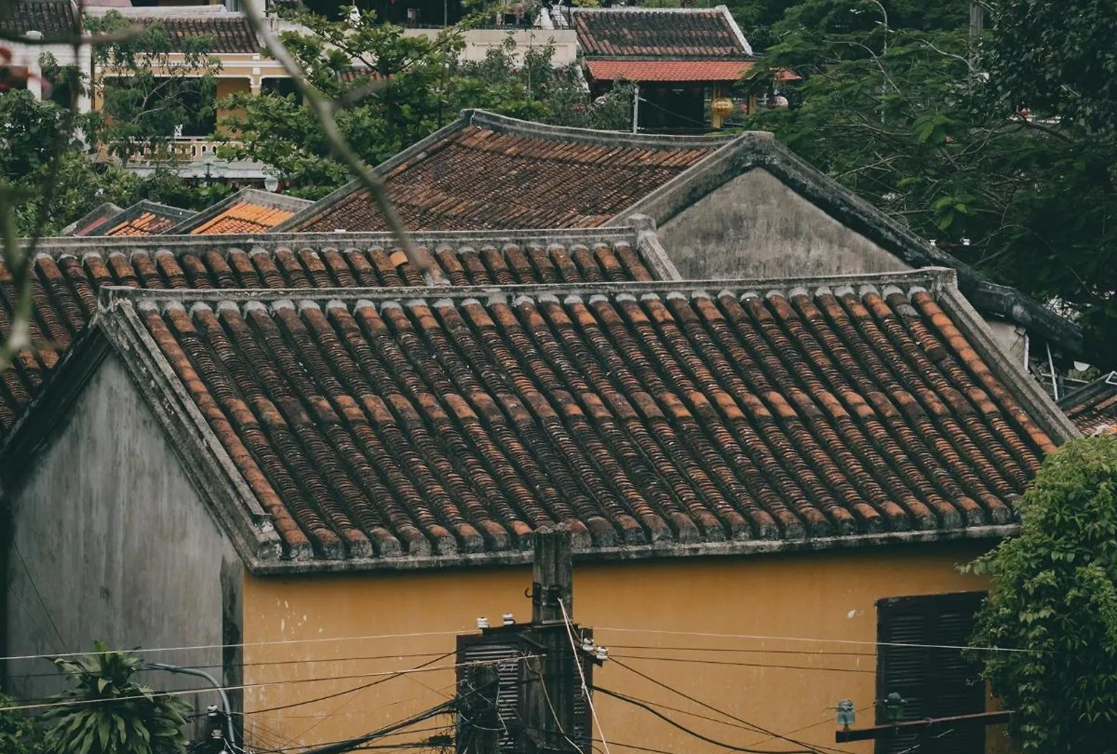 Cozy Savvy Hoi An - The Quintessence Of Exquisite Retreat Hotell