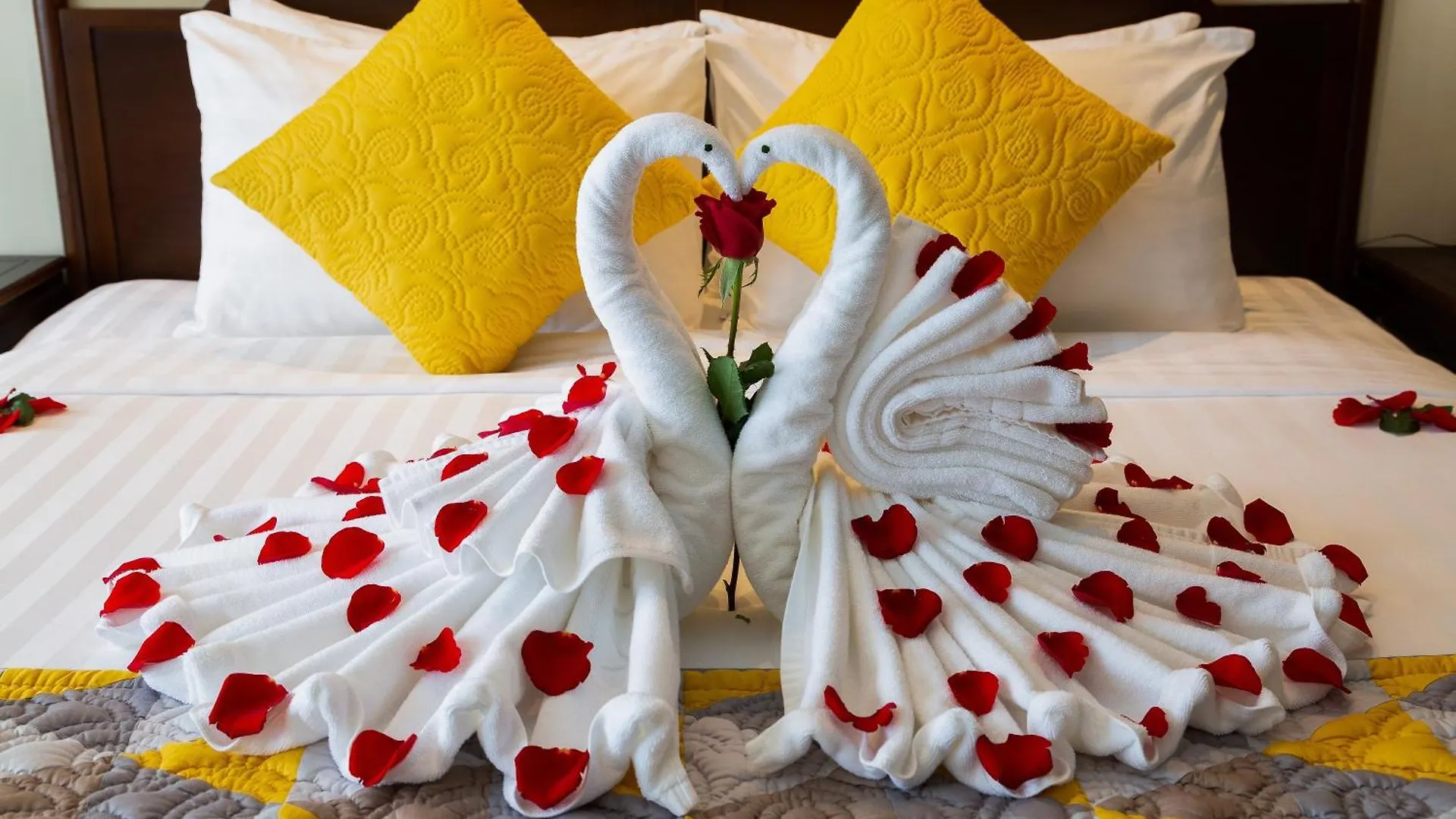 Cozy Savvy Boutique Hotel Hoi An